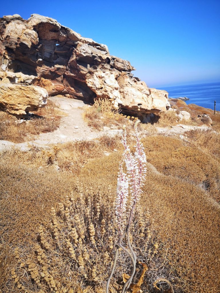 Route_phare_Paros