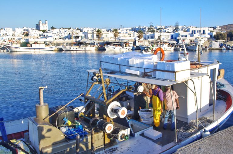 Pêcheurs port de Naoussa